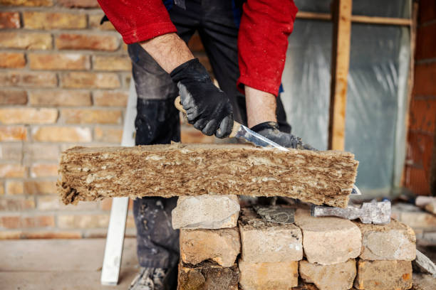 Best Home Insulation Services  in Beach Haven West, NJ